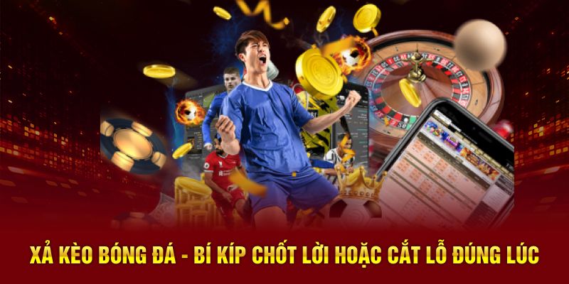 xả kèo bóng đá 789bet
